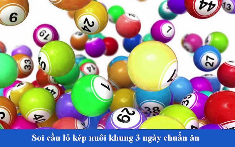 Các dạng cơ bản lô kép thường hay gặp hiện nay